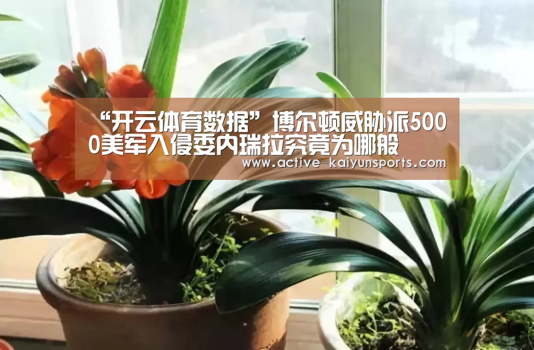 “开云体育数据”博尔顿威胁派5000美军入侵委内瑞拉究竟为哪般(图3) 开云体育高清直播