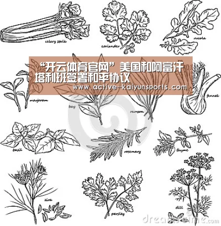 “开云体育官网”美国和阿富汗塔利班签署和平协议(图3) 开云体育数据