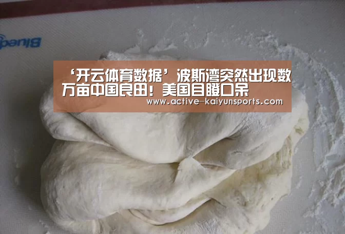 ‘开云体育数据’波斯湾突然出现数万亩中国良田!美国目瞪口呆(图2) 开云直播