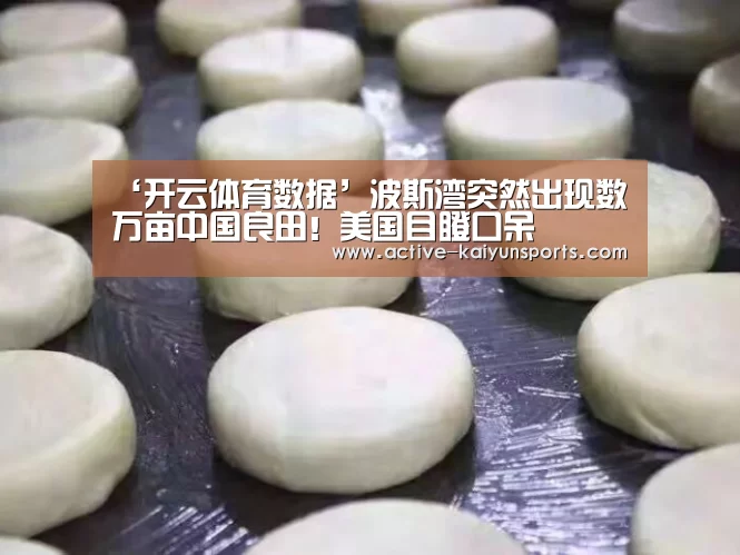 ‘开云体育数据’波斯湾突然出现数万亩中国良田!美国目瞪口呆(图3) 开云体育高清直播