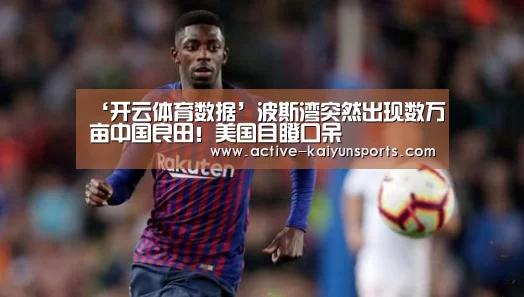 ‘开云体育数据’波斯湾突然出现数万亩中国良田!美国目瞪口呆(图4) 开云体育数据