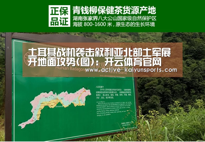 开云直播