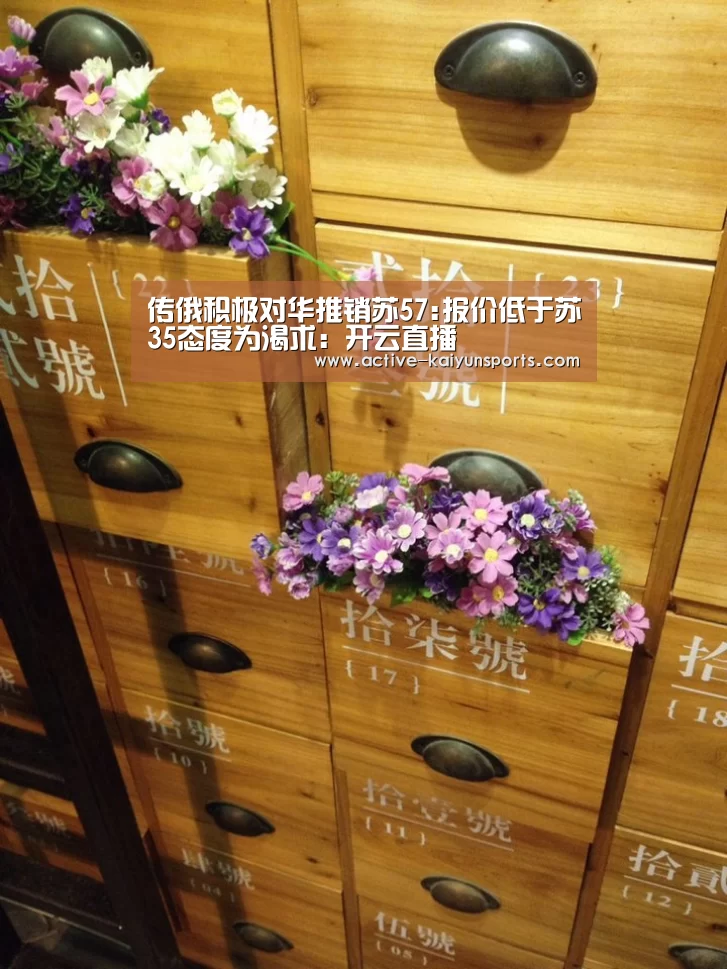 传俄积极对华推销苏57:报价低于苏35态度为渴求:开云直播(图1) 开云直播