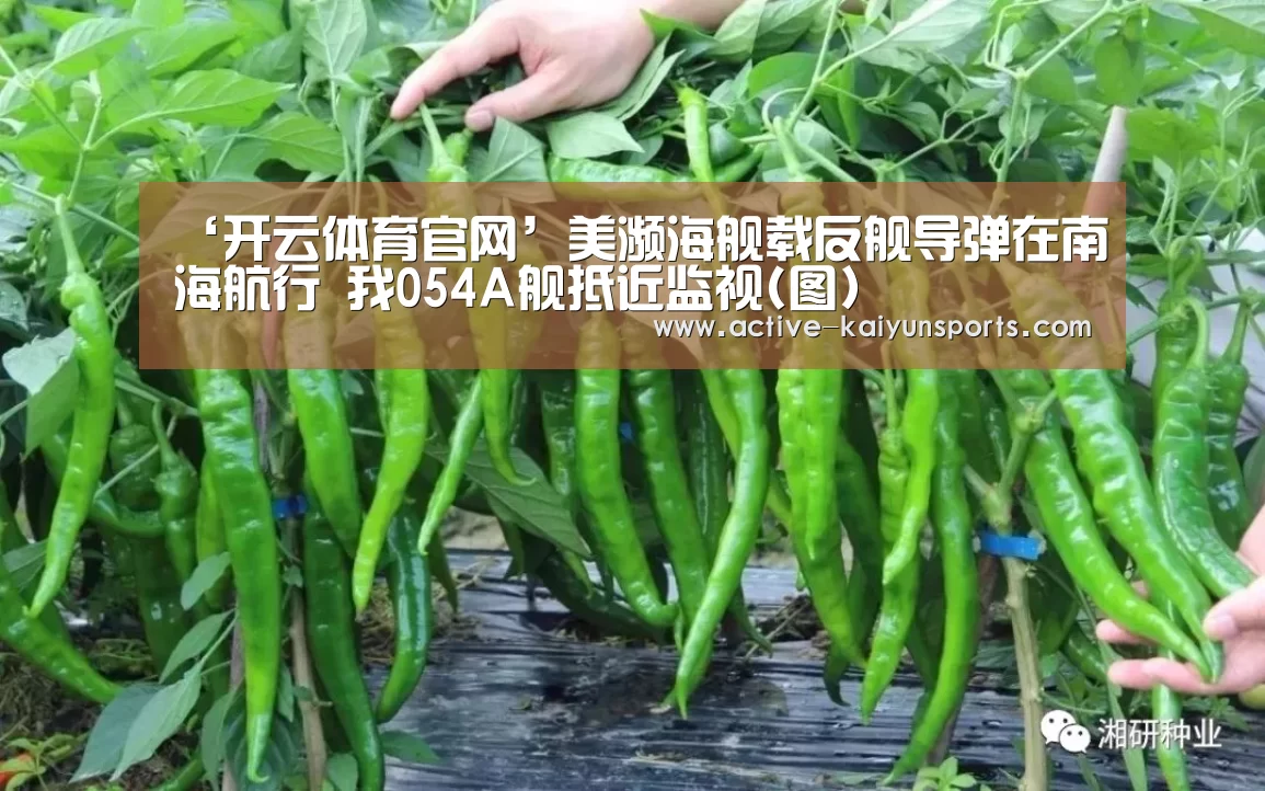 ‘开云体育官网’美濒海舰载反舰导弹在南海航行 我054A舰抵近监视(图)(图2) 开云直播