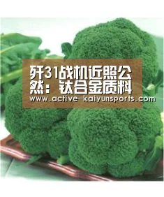 歼31战机近照公然:钛合金质料占比高,上百零件3D打印制造【开云体育官网】(图2) 开云体育数据